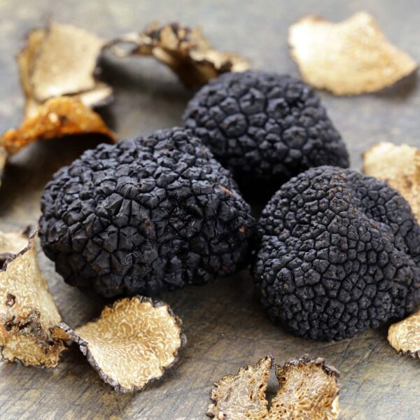 Tuore musta talvitryffeli (Tuber Melanosporum)